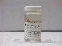 藏品(橫紋長鰭天竺鯛)的圖片